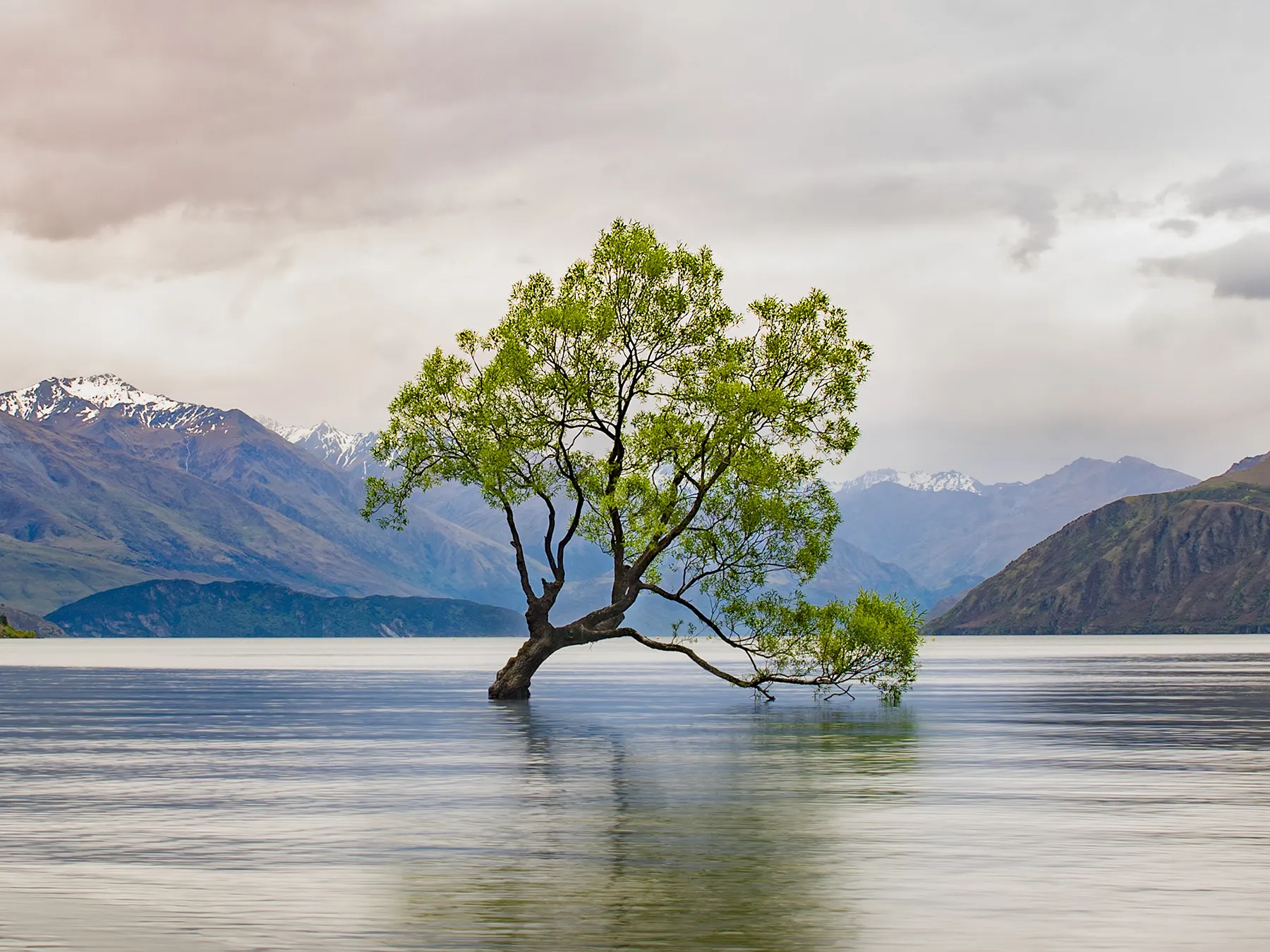 Mount Cook Experience
